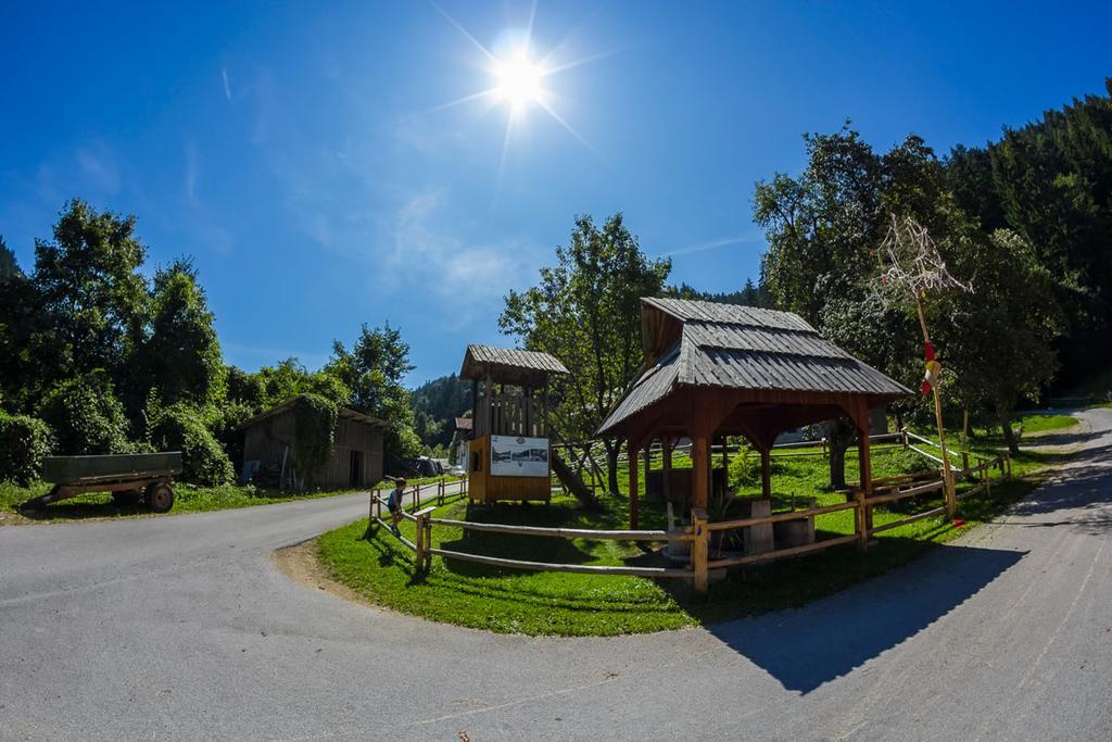Farm Stay Loger Ljubno Bagian luar foto