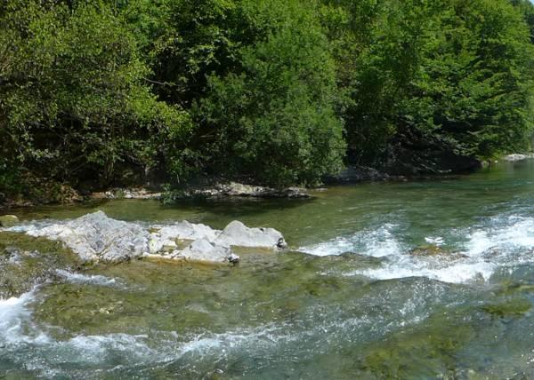 Farm Stay Loger Ljubno Bagian luar foto