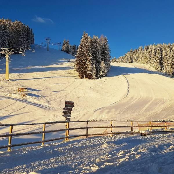 Farm Stay Loger Ljubno Bagian luar foto