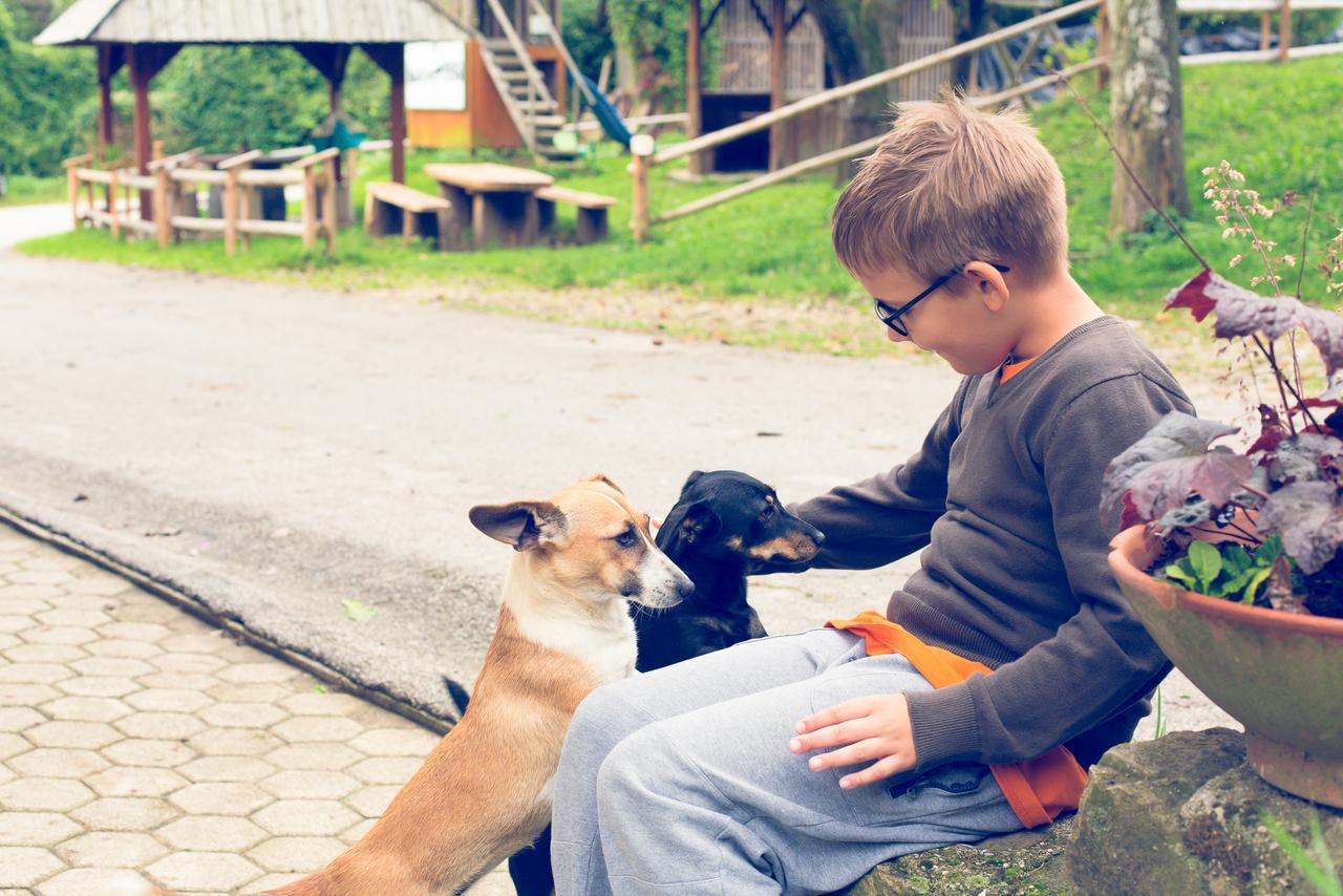 Farm Stay Loger Ljubno Bagian luar foto